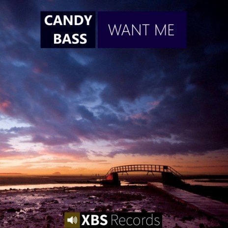 Want Me (Original Mix)