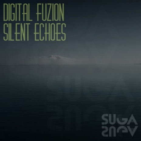 Silent Echoes (Original Mix) | Boomplay Music