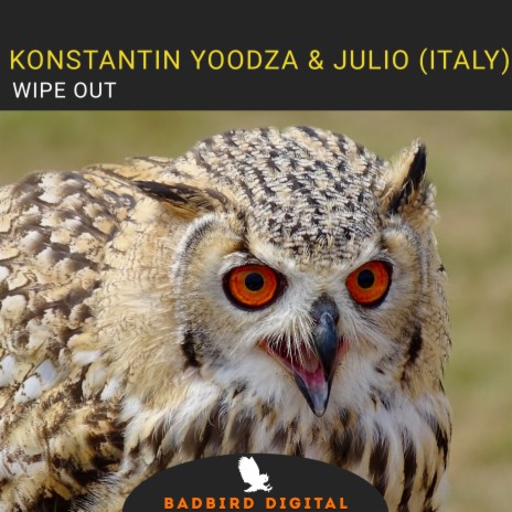 Wipe Out ft. Julio (Italy) | Boomplay Music