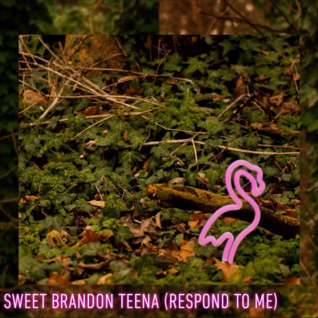 Sweet Brandon Teena (Respond To Me) | Boomplay Music