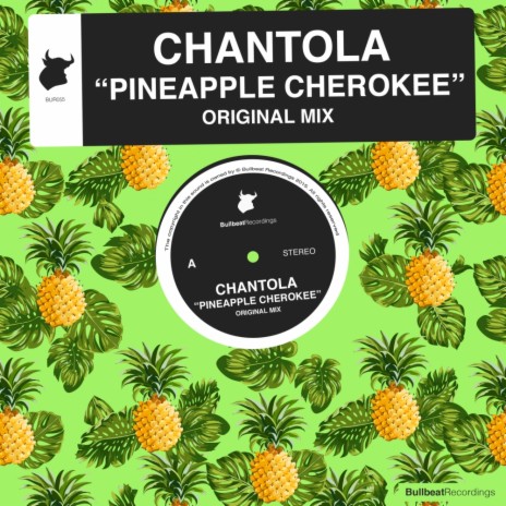 Pineapple Cherokee (Original Mix) | Boomplay Music