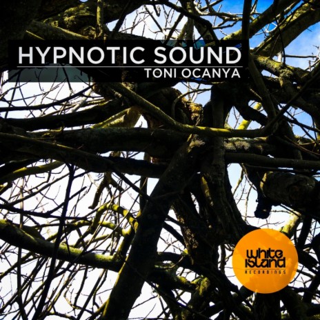 Hypnotic Sound (Original Mix) | Boomplay Music