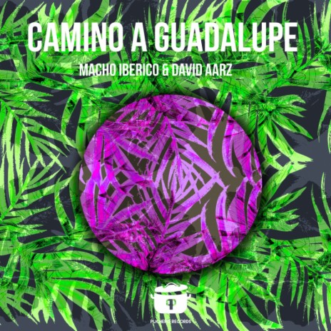 Camino A Guadalupe (Original Mix) ft. Macho Iberico | Boomplay Music