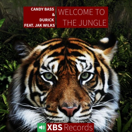 Welcome To The Jungle (Progressive Mix) ft. Durick & Jak Wilks | Boomplay Music