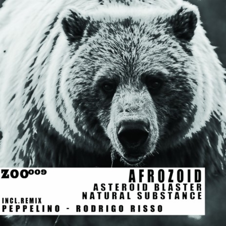 Asteroid Blaster (Peppelino Remix)