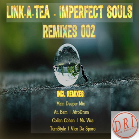 Imperfect Souls (AfroDrum's Agenda Mix)