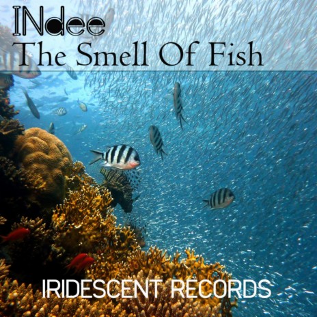 The Smell Of Fish (Original Mix)