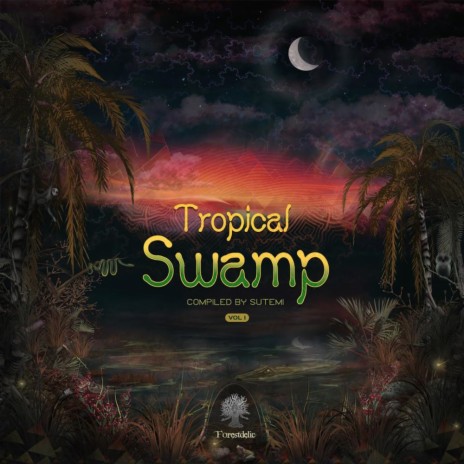 Swamp Shinning (Original Mix) ft. Sutemi