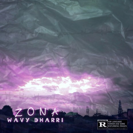 Zona | Boomplay Music
