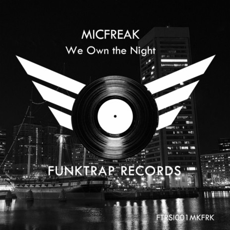 We Own The Night (Original Mix) | Boomplay Music