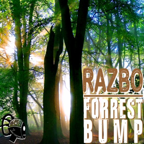 Forrest Bump (Original Mix) | Boomplay Music