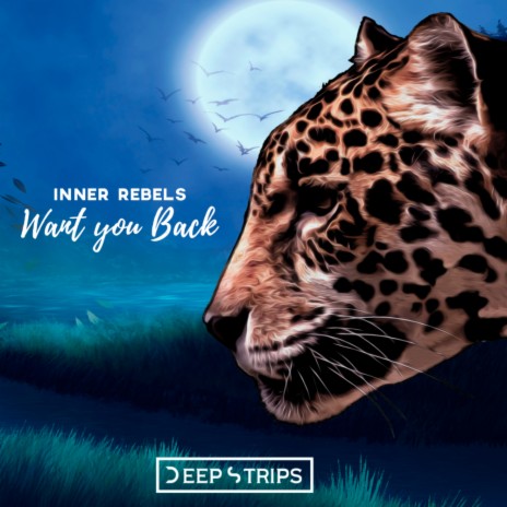 Want You Back (David Manso Remix)