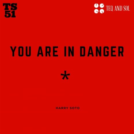 You Are In Danger (Original Mix)