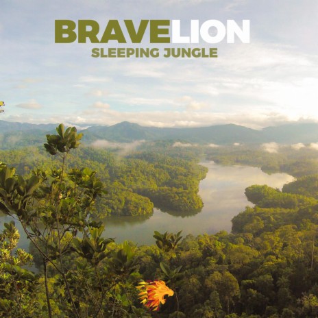 Sleeping Jungle | Boomplay Music