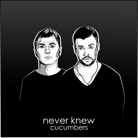 Never Knew (Original Mix)