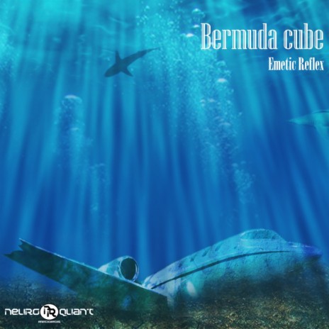 Bermuda Cube (Original Mix) | Boomplay Music