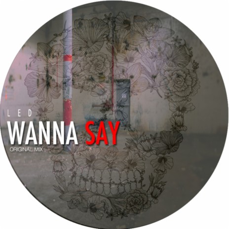Wanna Say (Original Mix) | Boomplay Music