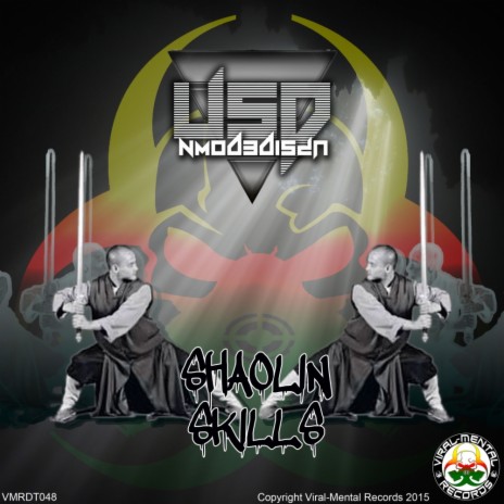 Shaolin Skills (Original Mix) | Boomplay Music