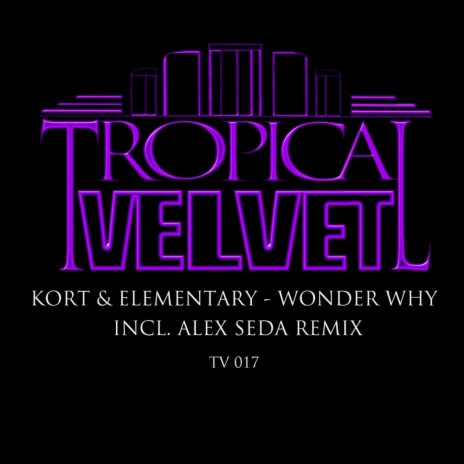 Wonder Why (Original Mix) ft. Elementary