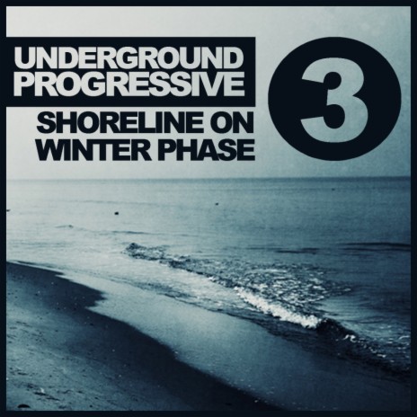 Winter Phase (Jaap Ligthart Remix) | Boomplay Music