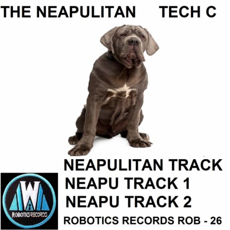 Neapul Trsck 2 (Original Mix)