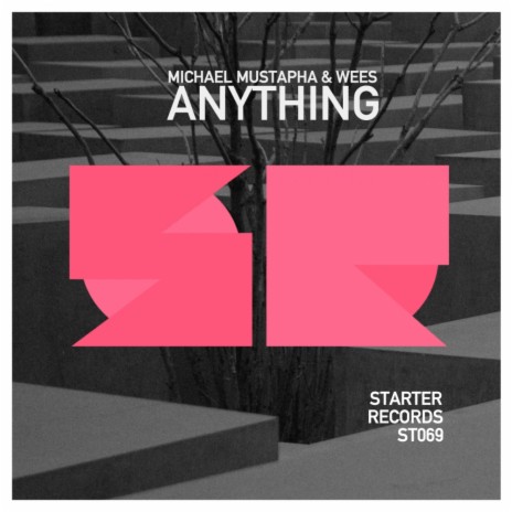 Anything (Original Mix) ft. WEES | Boomplay Music