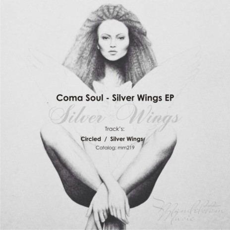 Silver Wings (Original Mix) | Boomplay Music