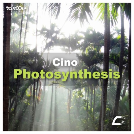 Photosynthesis (Original Mix)