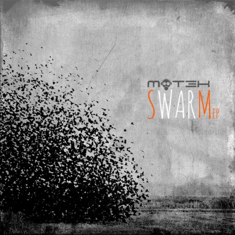 Swarm (Original Mix)