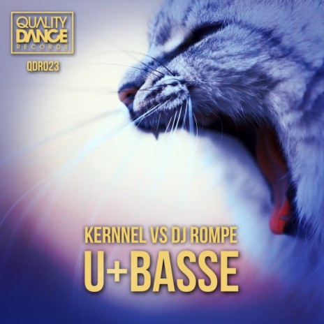 U+Basse (Original Mix) ft. DJ Rompe | Boomplay Music