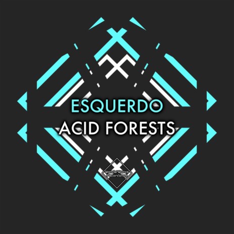 Acid Forest (Original Mix) | Boomplay Music