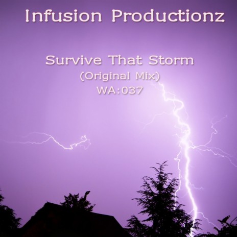 Survive That Storm (Original Mix)