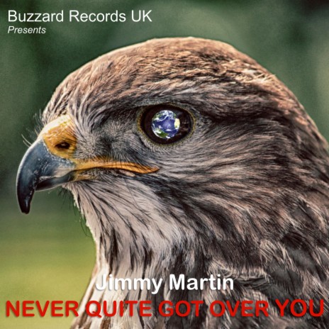 Never Quite Got Over You | Boomplay Music