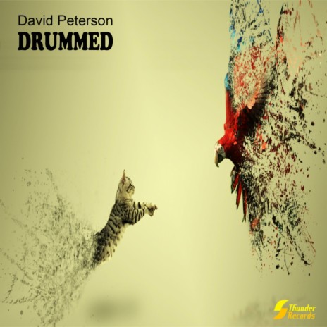 Drummed (Original Mix)