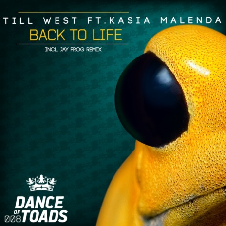 Back To Life (Jay Frog Remix) ft. Kasia Malenda | Boomplay Music