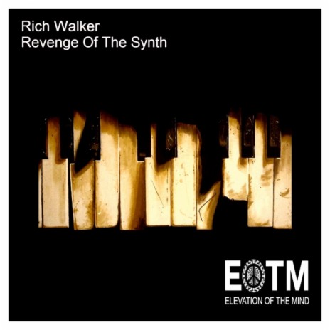 Revenge Of The Synth (Original Mix) | Boomplay Music