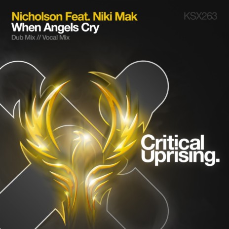 When Angels Cry (Vocal Mix) ft. Niki Mak | Boomplay Music