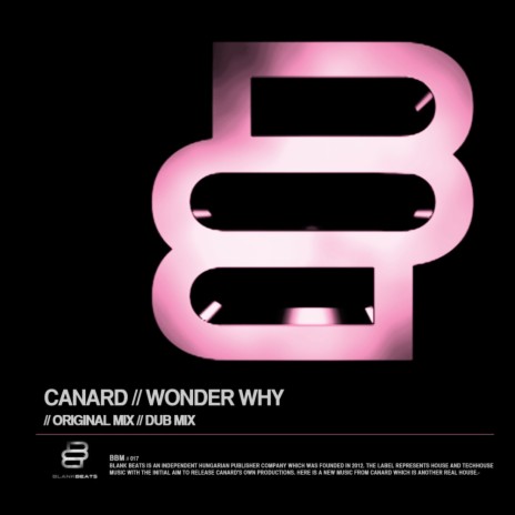 Wonder Why (Dub Mix)