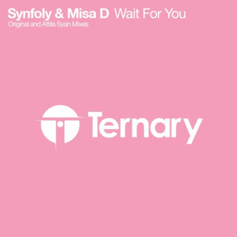 Wait For You (Original Mix) ft. Misa D | Boomplay Music