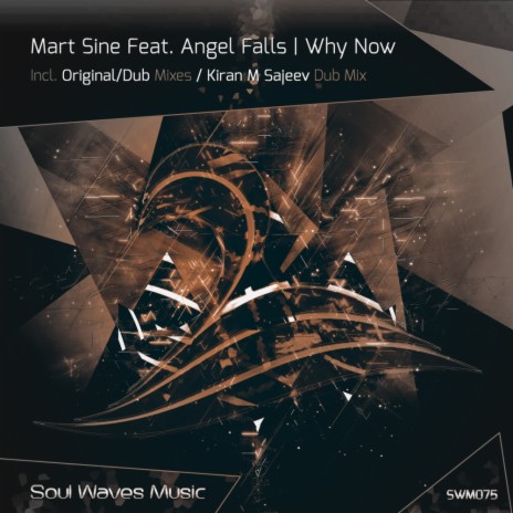 Why Now (Kiran M Sajeev Dub Mix) ft. Angel Falls
