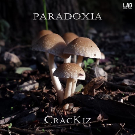 Paradoxia (Original Mix) | Boomplay Music