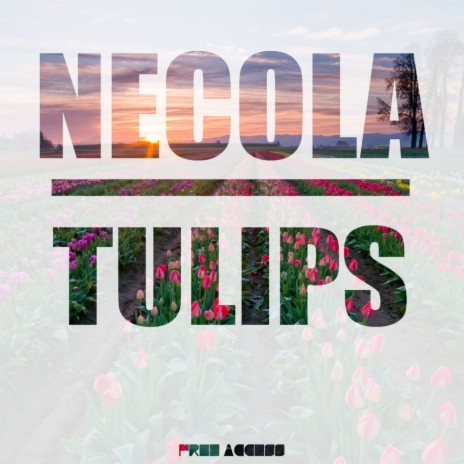 Tulips (Original Mix) | Boomplay Music