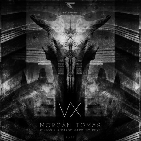 VX (Ricardo Garduno Remix) | Boomplay Music