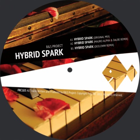 Hybrid Spark (DeeLoww Remix) | Boomplay Music