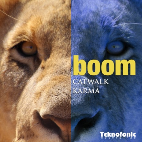 Catwalk Karma (Original Mix) | Boomplay Music