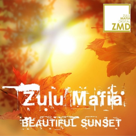 Beautiful Sunset (Zulu Personal Mix)