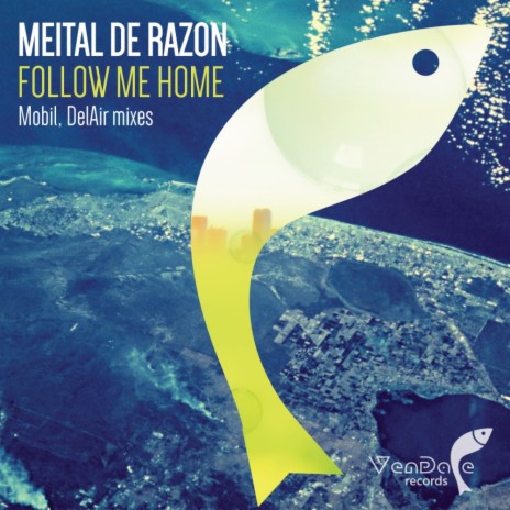 Follow Me Home (DelAir Remix)