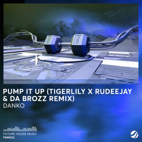 Pump It Up (Tigerlily, Rudeejay, Da Brozz Remix) ft. Tigerlily