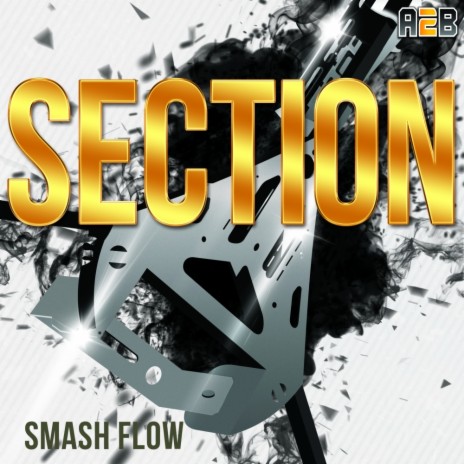Section (Radio Edit) | Boomplay Music