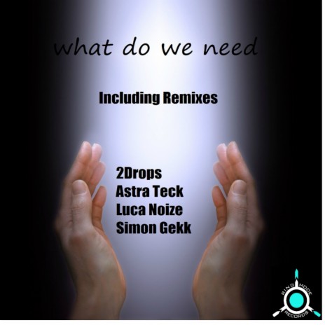 What Do We Need (Original Mix)
